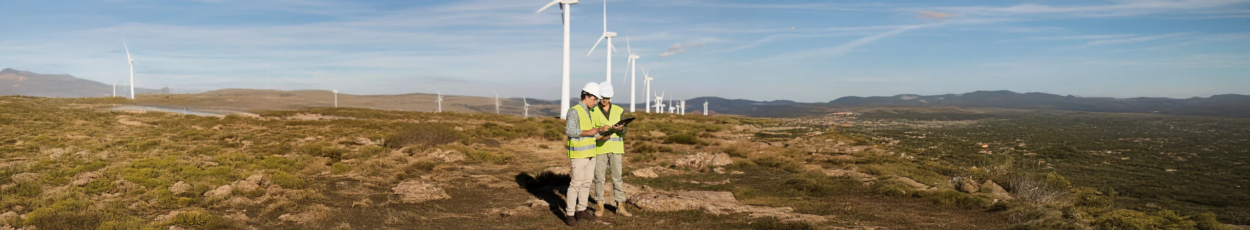 Sustainability Management