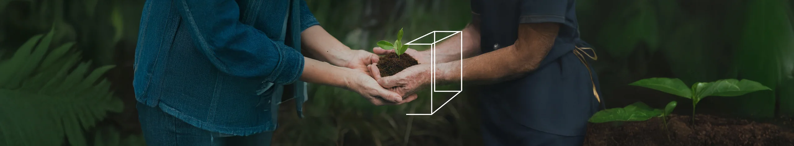 Sustainability Policies